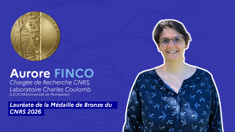 Bannière du Site Internet 